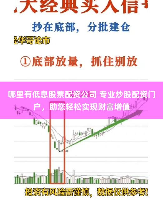 哪里有低息股票配资公司 专业炒股配资门户，助您轻松实现财富增值
