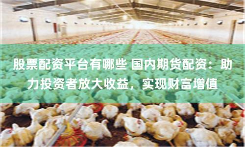 股票配资平台有哪些 国内期货配资：助力投资者放大收益，实现财富增值