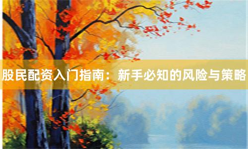 股民配资入门指南：新手必知的风险与策略