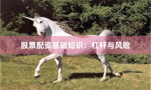 股票配资基础知识：杠杆与风险